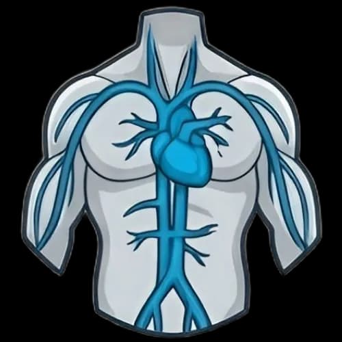 심폐 근육 부위