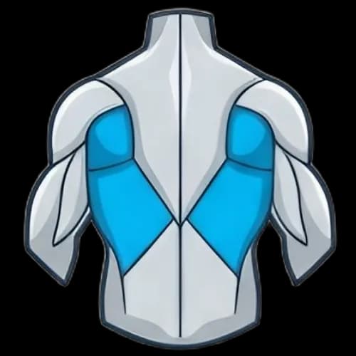 광배근 근육 부위