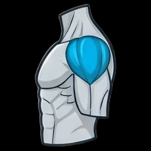 측면 삼각근 근육 부위