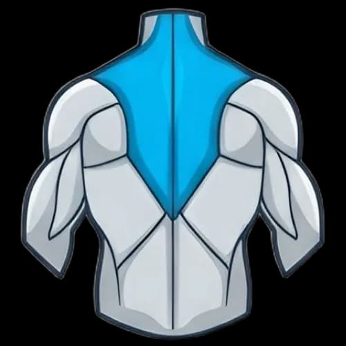 승모근 근육 부위